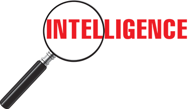 Corporate Intelligence Services